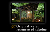 Original water resource of takefue