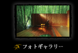 フォトギャラリー
